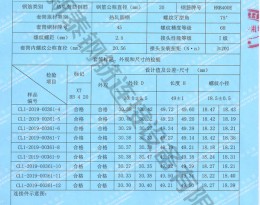 通辽检验报告